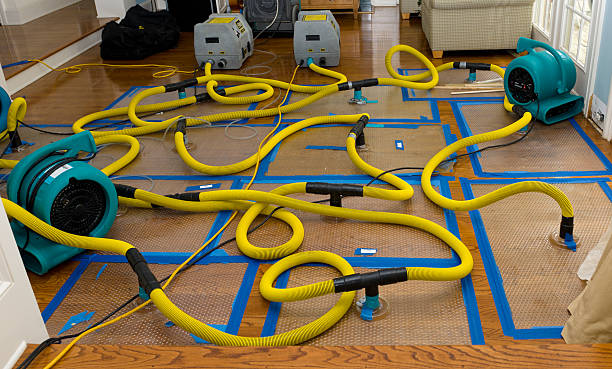 Professional Burst Pipe Water Damage technician working in Laveen, AZ